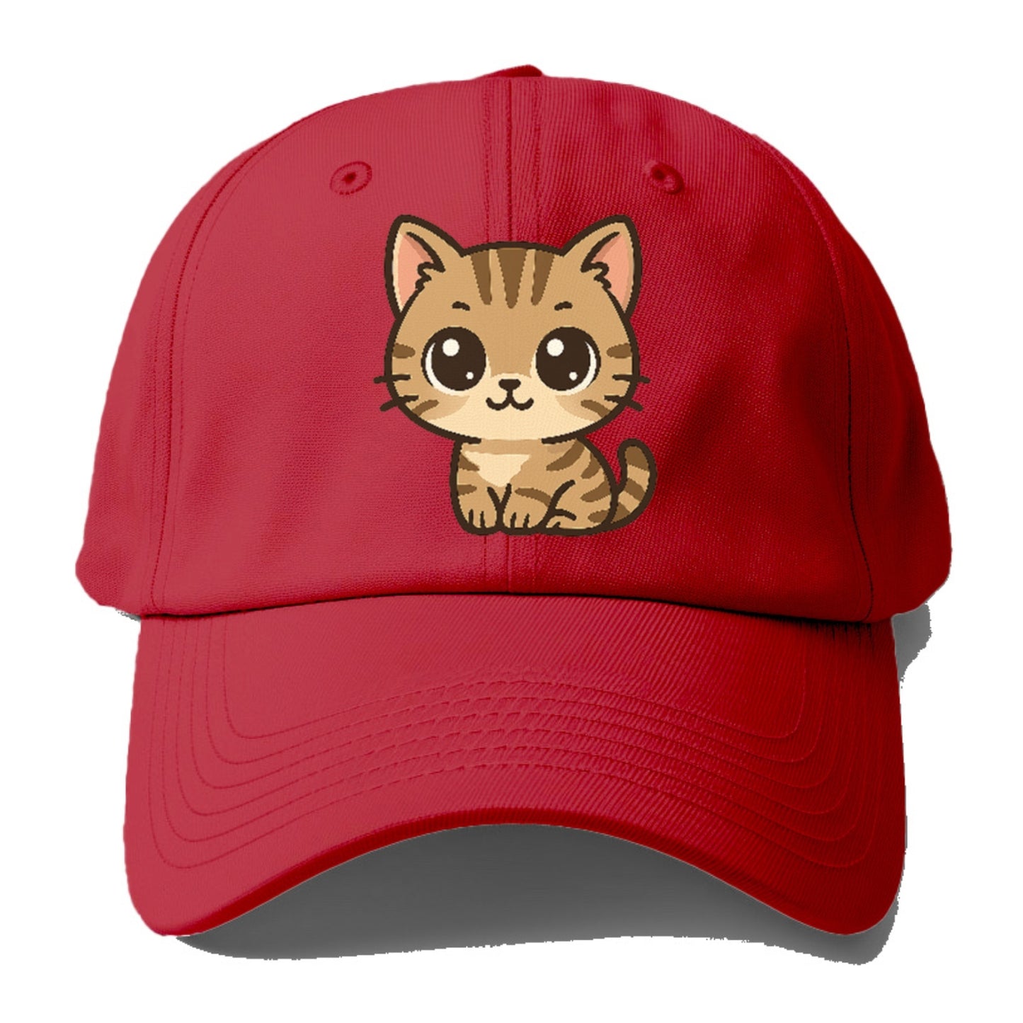 tabby-mix-playful-spirit Hat