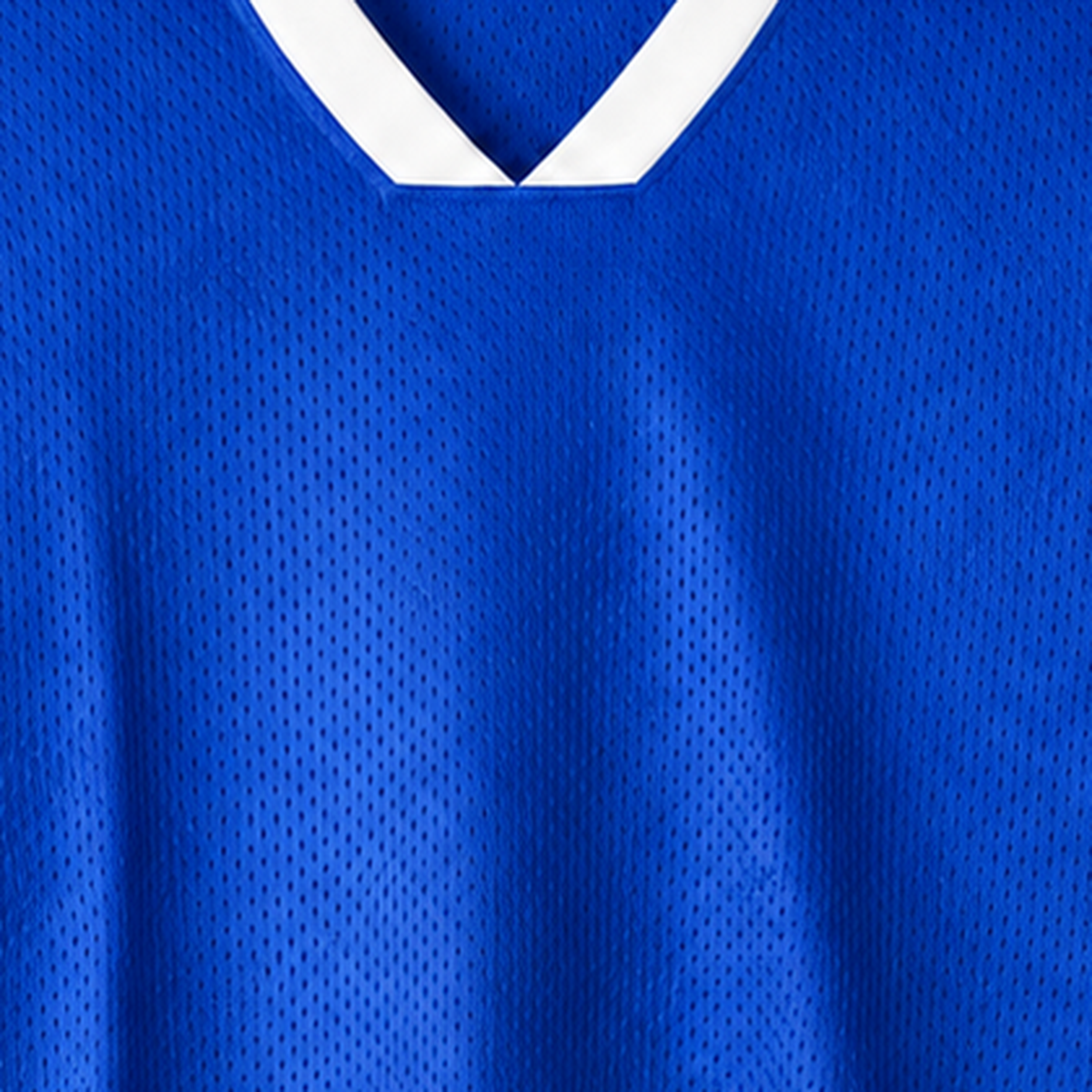 Persian Lion Arch Mesh Jersey – royal-blue fabric close-up