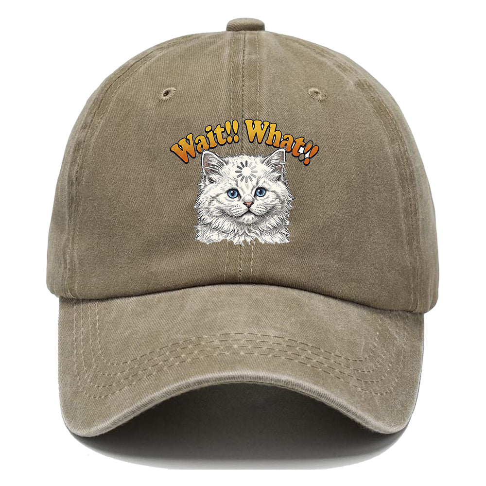 Wait What Cat Classic Cap