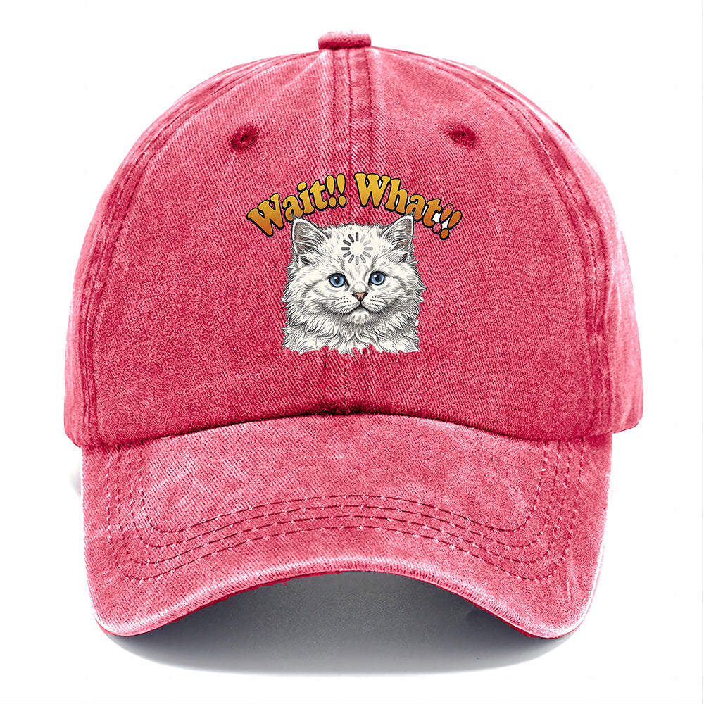 Wait What Cat Classic Cap