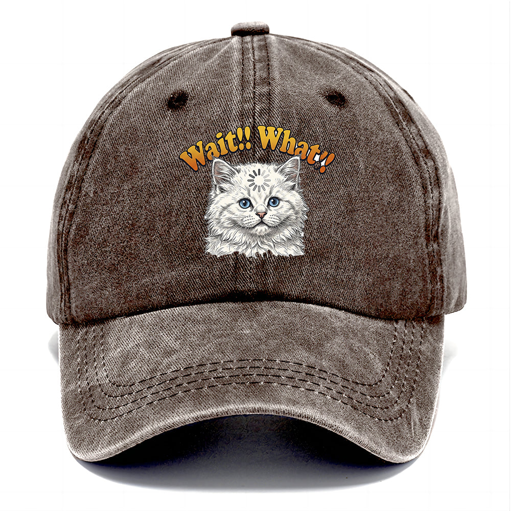 Wait What Cat Classic Cap