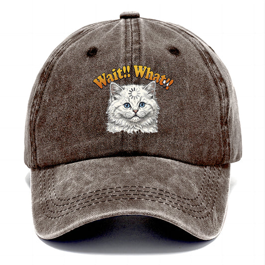 Wait What Cat Classic Cap