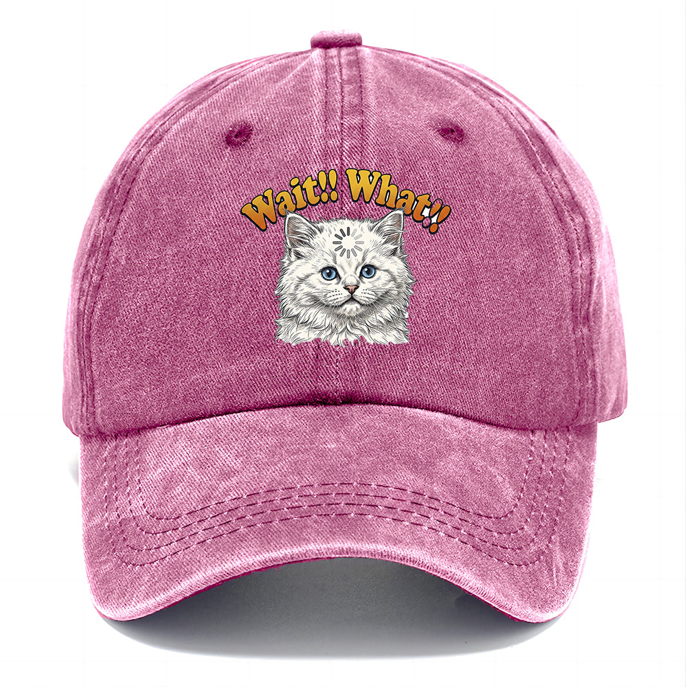 Wait What Cat Classic Cap