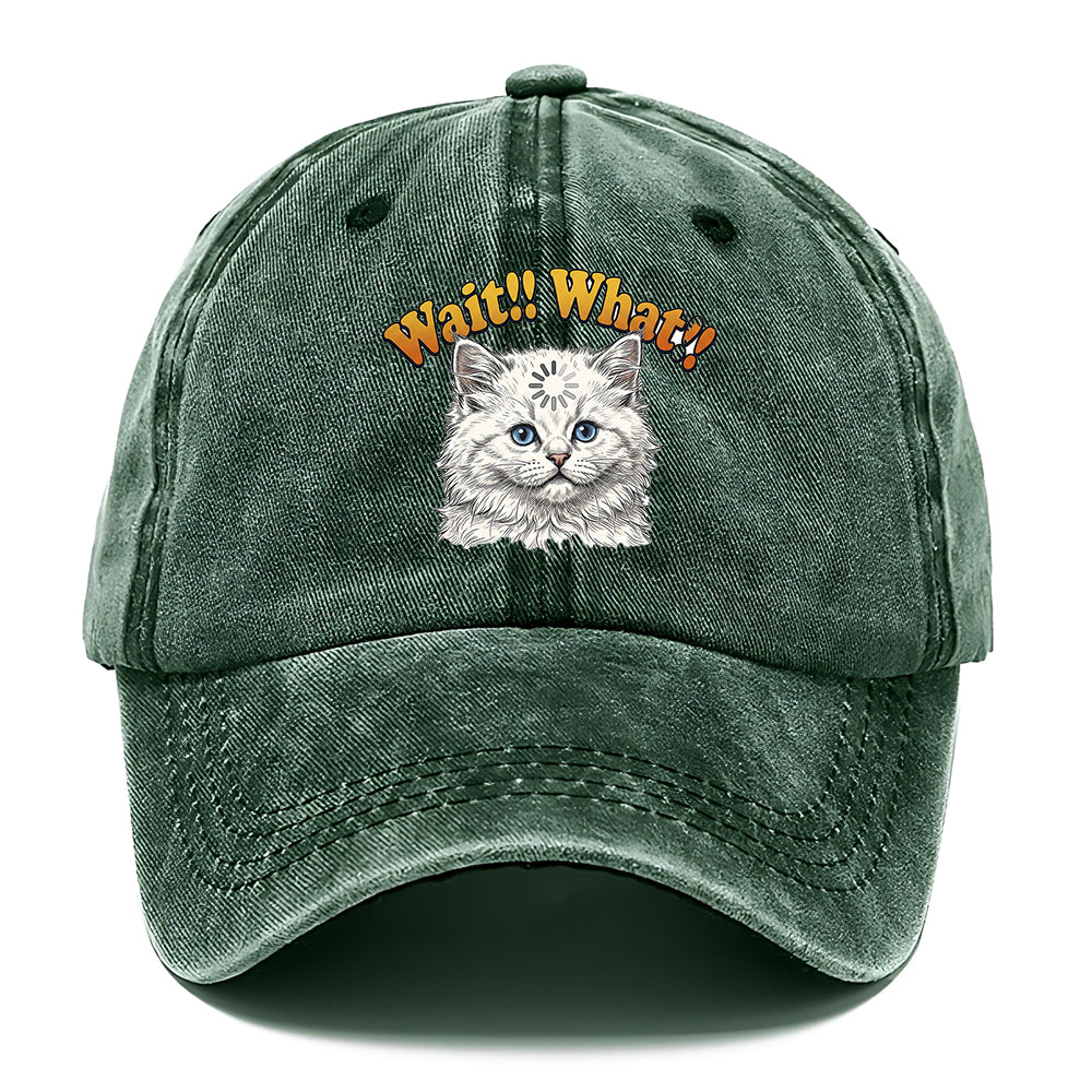 Wait What Cat Classic Cap