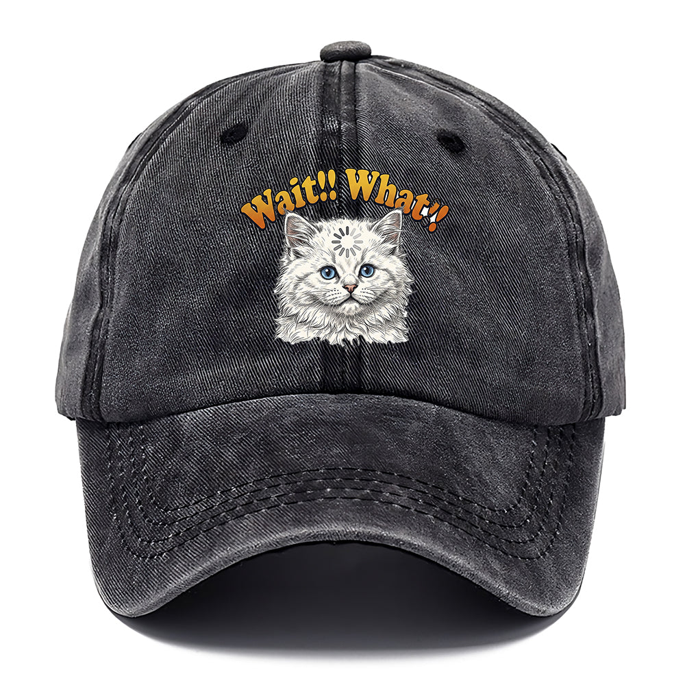 Wait What Cat Classic Cap