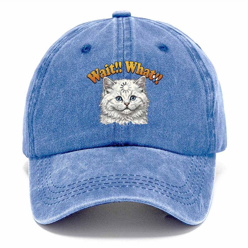 Wait What Cat Classic Cap