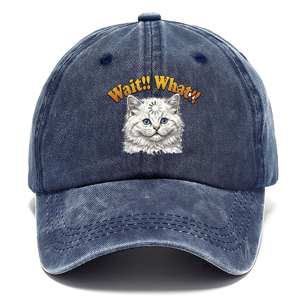 Wait What Cat Classic Cap