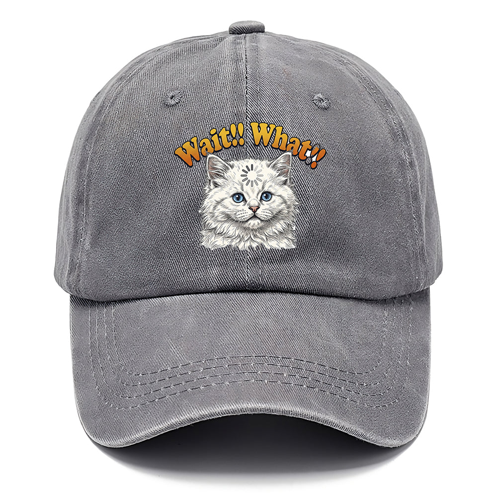 Wait What Cat Classic Cap