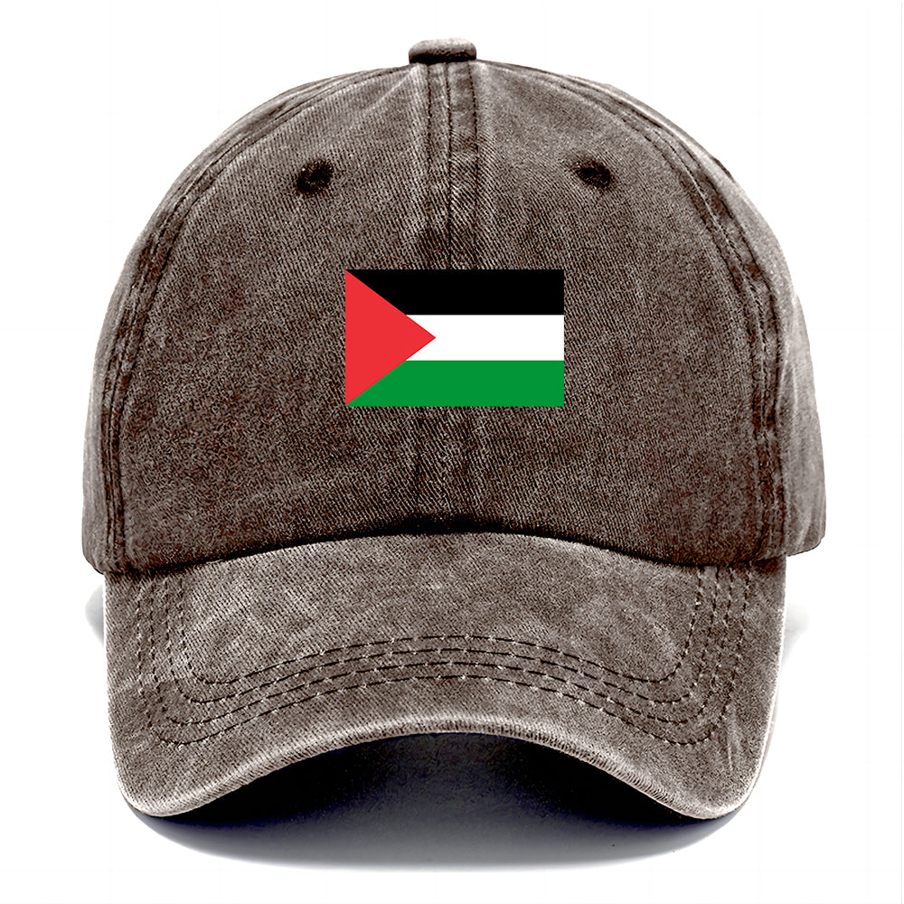 Palestine Dome Flag Classic Cap