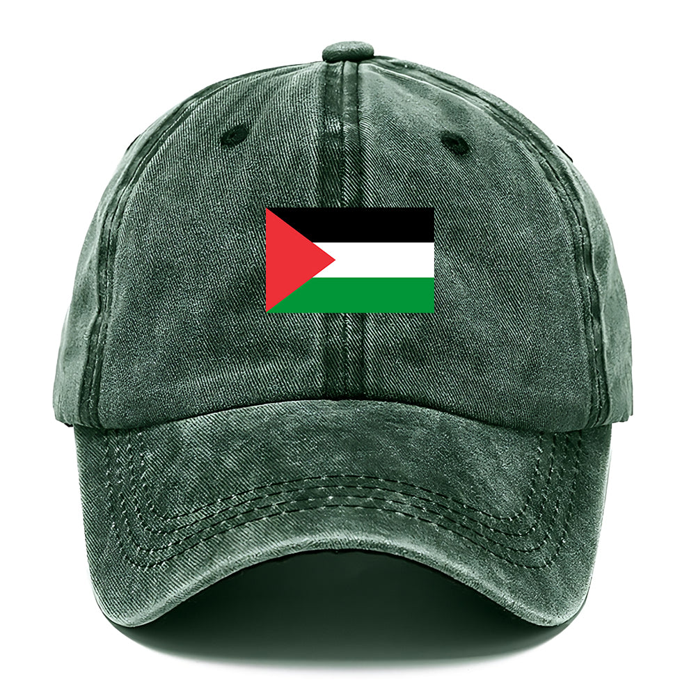 Palestine Dome Flag Classic Cap