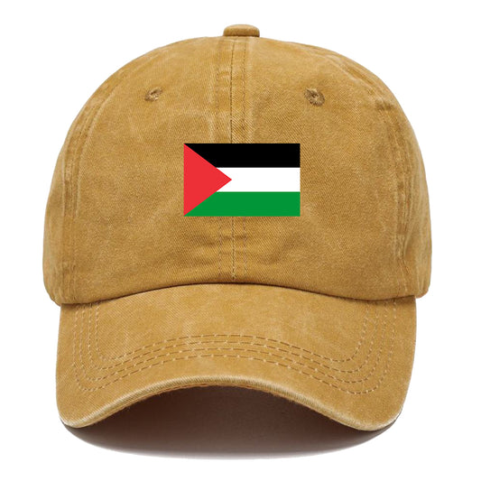 Palestine Dome Flag Classic Cap