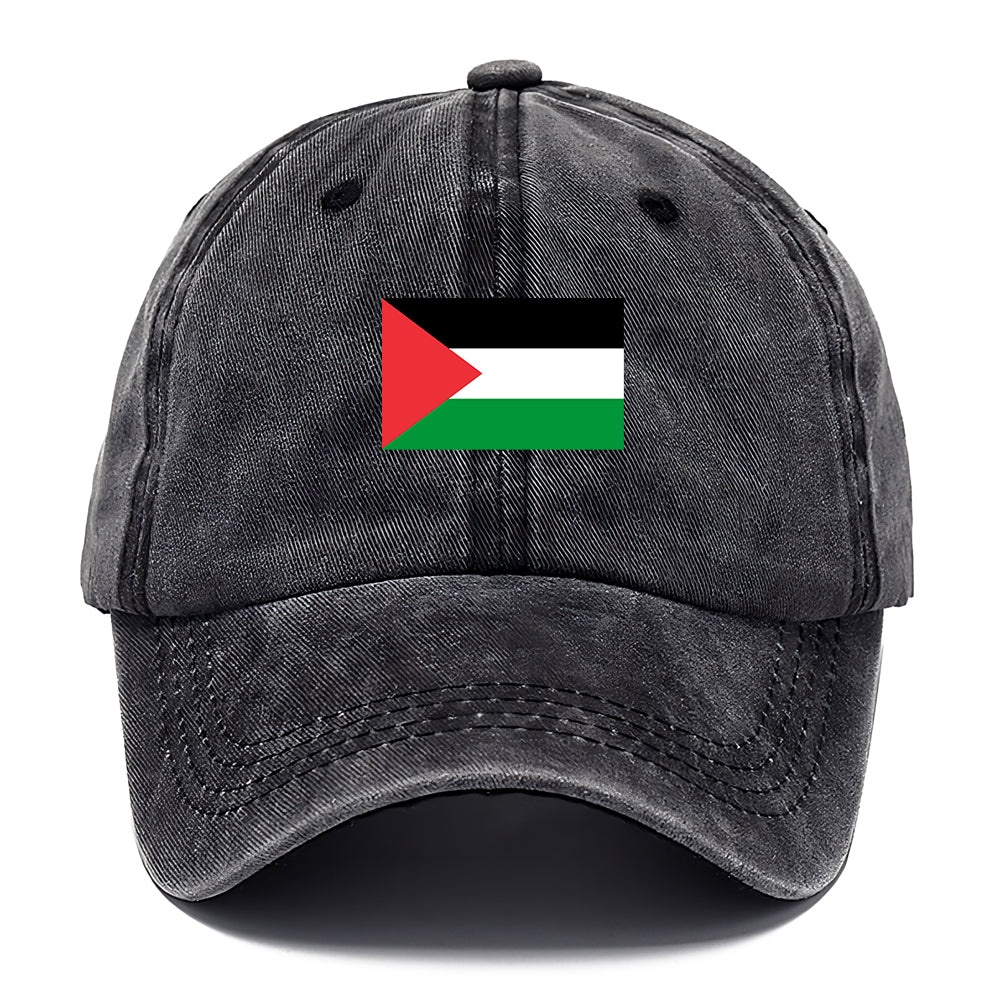 Palestine Dome Flag Classic Cap