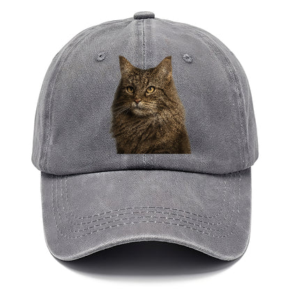 norwegian-forest-cat-wilderness-spirit Hat