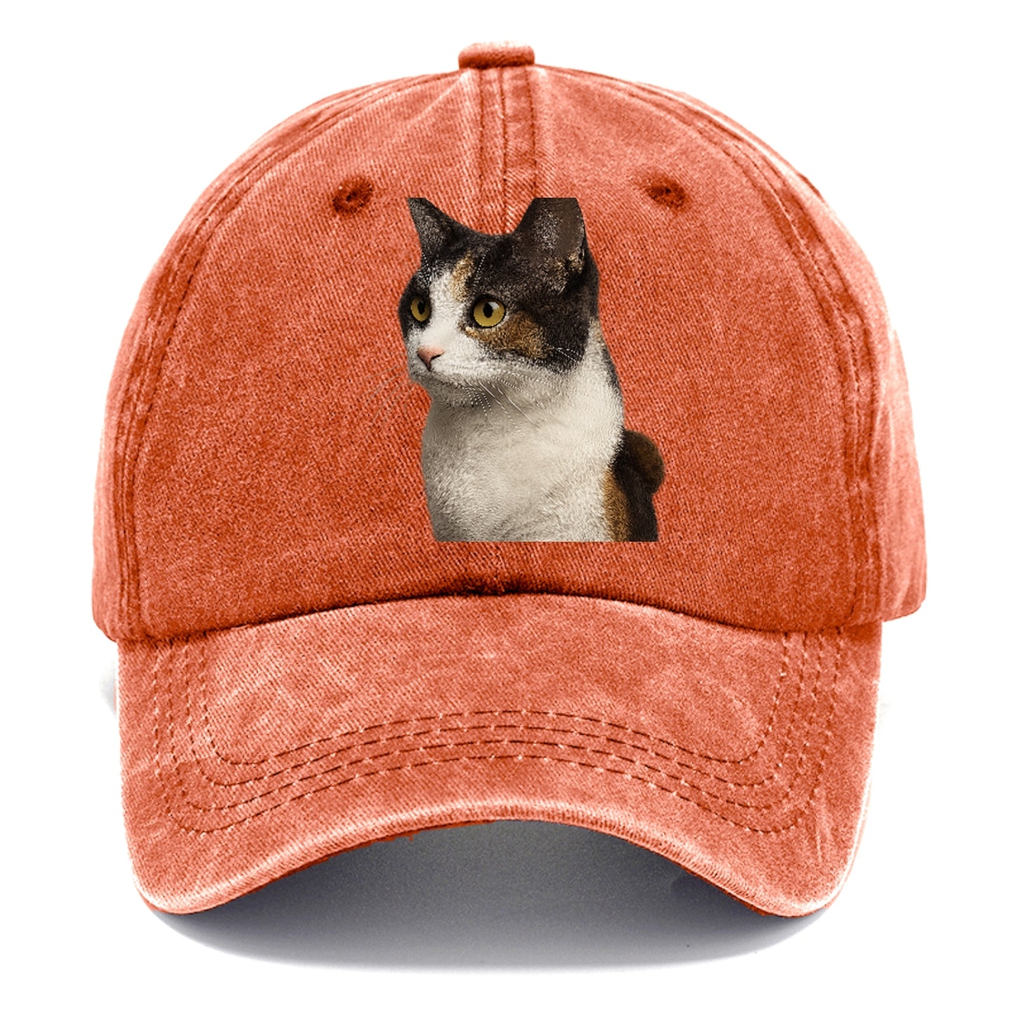 japanese-bobtail-playful-spirit Hat