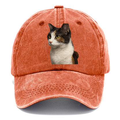 japanese-bobtail-playful-spirit Hat