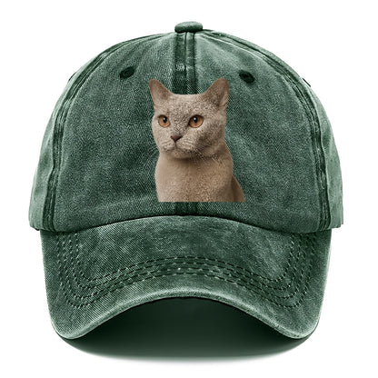 lilac-cat-playful-spirit Hat