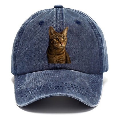 playful-cat-playful-spirit Hat