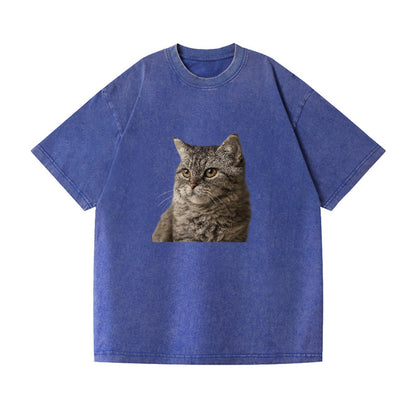 lambkin-gentle-spirit Hat