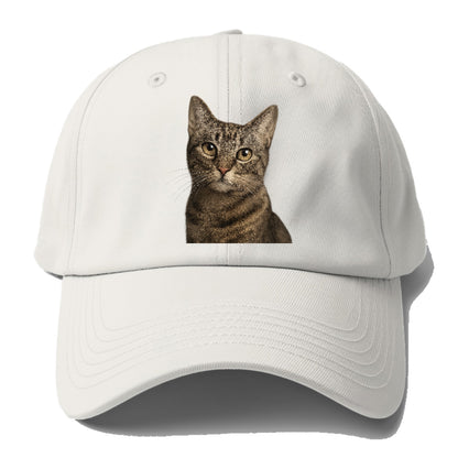 curious-cat-inquisitive-nature Hat