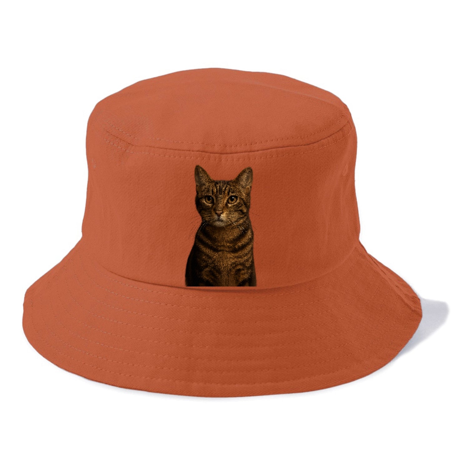 brown-tabby-playful-spirit Hat