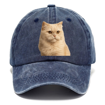 cream-persian-fluffy-elegance Hat