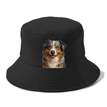 australian shepherd portrait design Hat