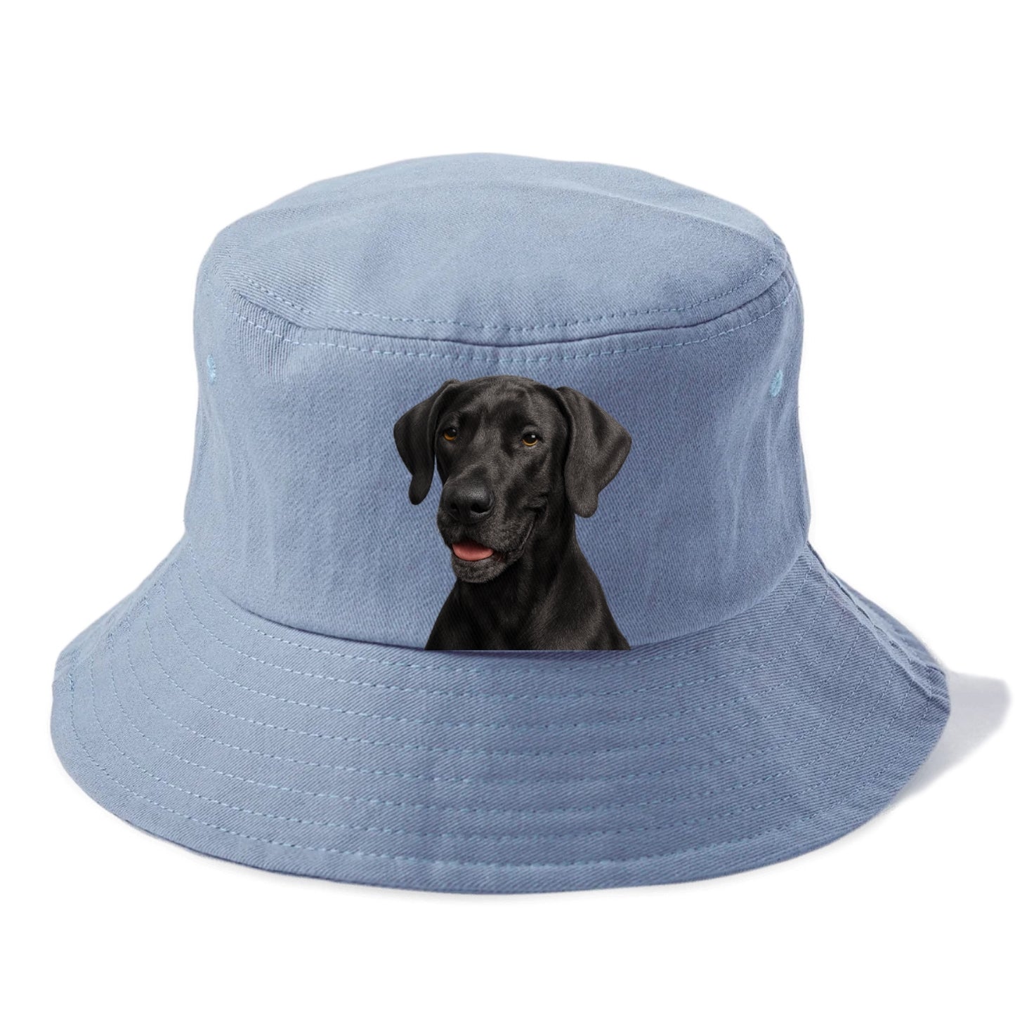 great dane portrait design Hat