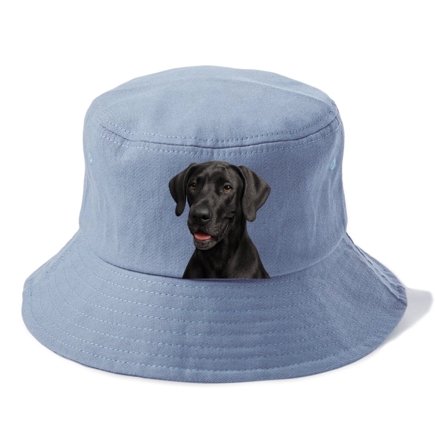 great dane portrait design Hat