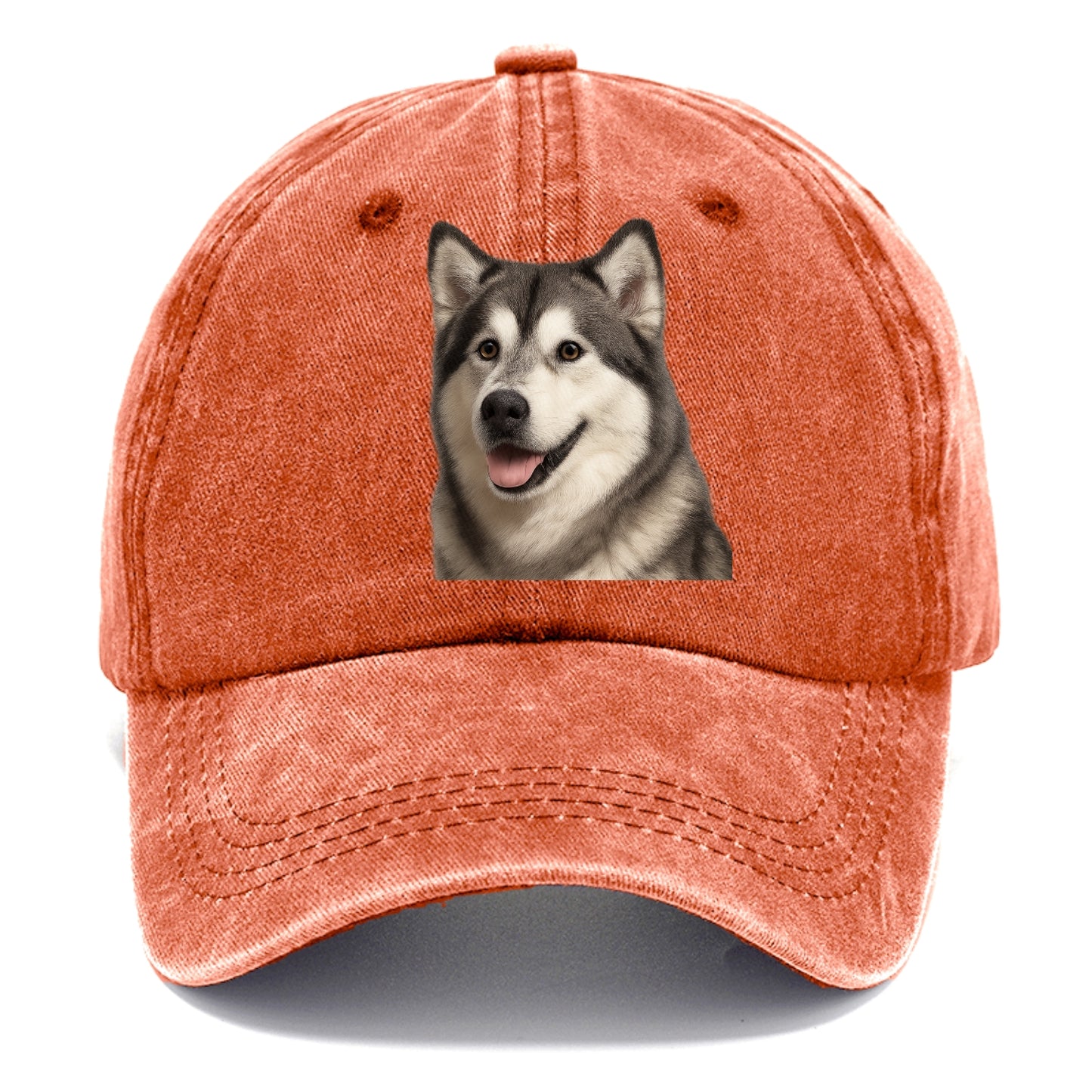 alaskan malamute portrait design Hat