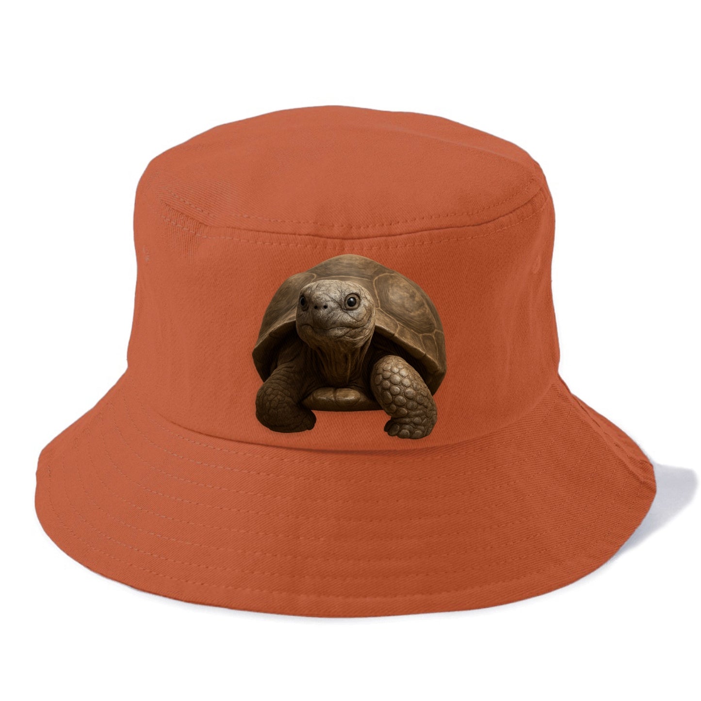tortoise portrait design Hat