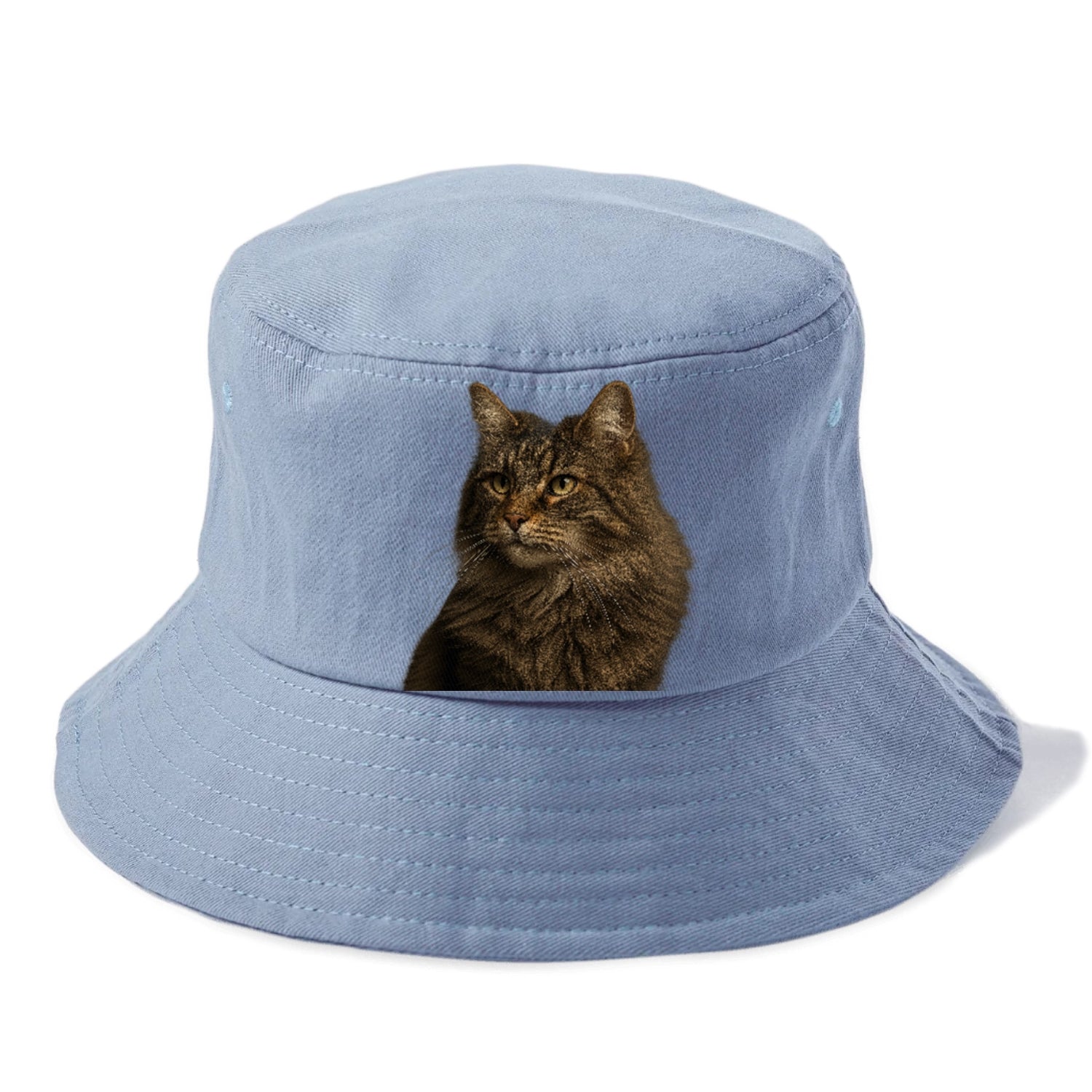 norwegian-forest-cat-wild-majesty Hat