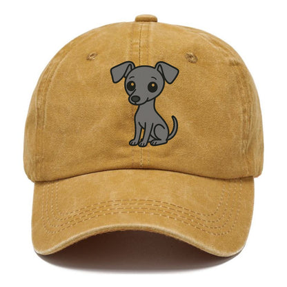 italian greyhound gray sitting pose with thin build portrait design Hat