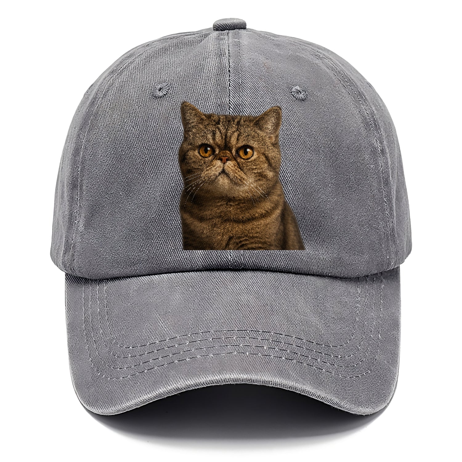 exotic-shorthair-charm Hat