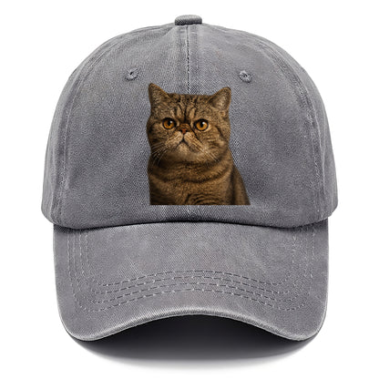 exotic-shorthair-charm Hat
