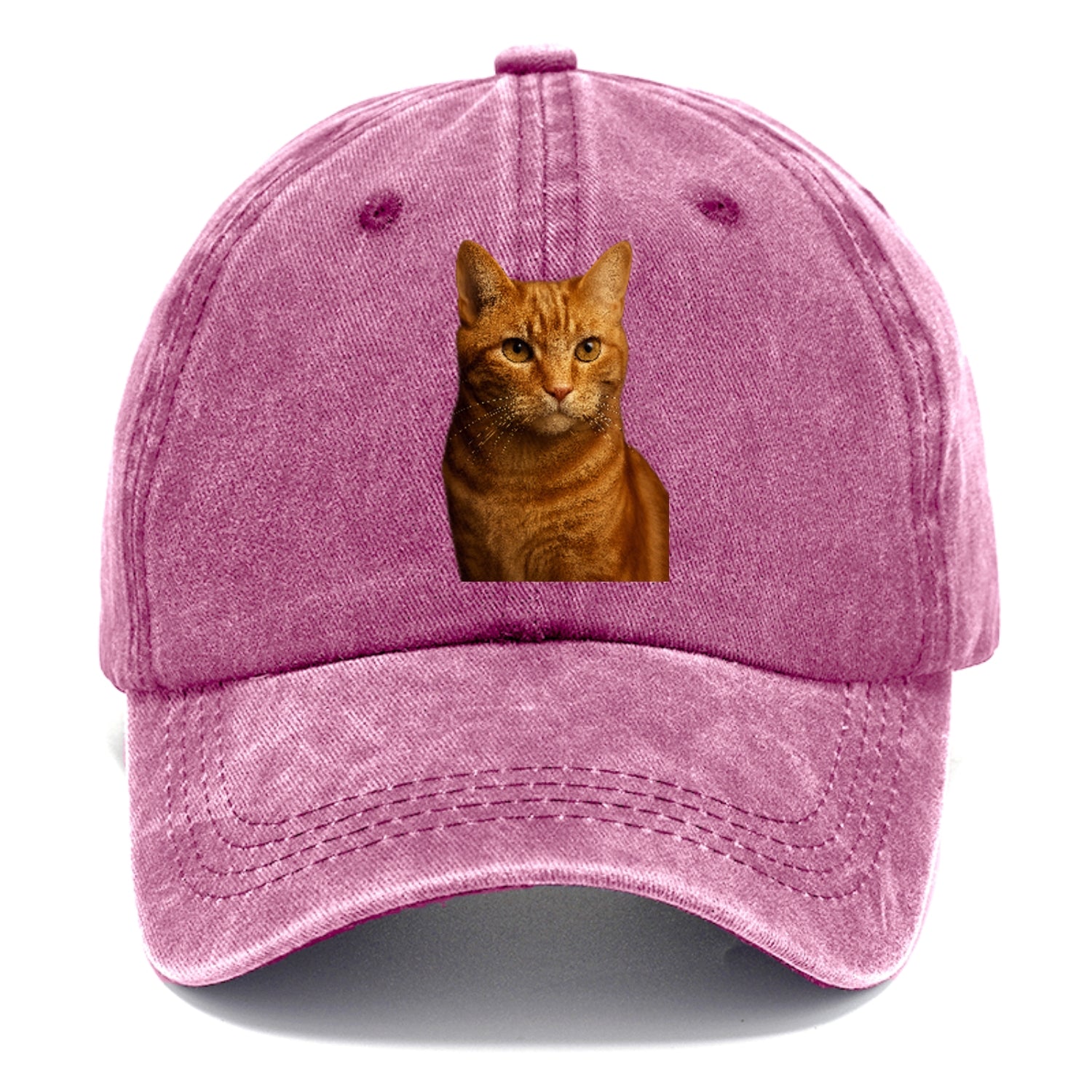 orange-tabby-playful-purr Hat