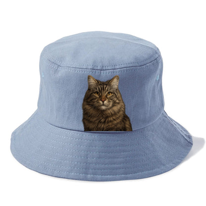 maine coon majestic feline Hat