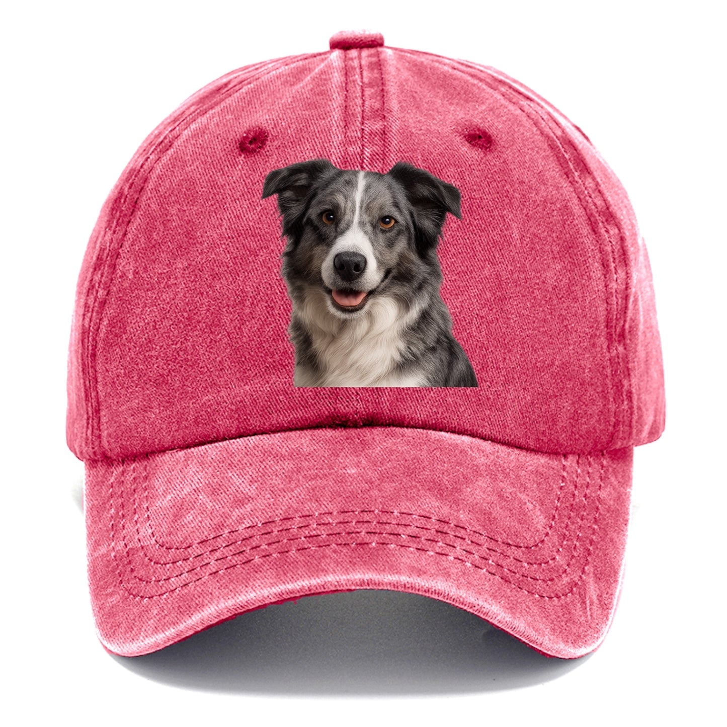 blue merle border collie agile mind Hat