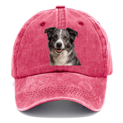 blue merle border collie agile mind Hat