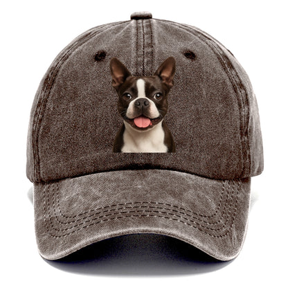 boston terrier: dapper & devoted companion Hat