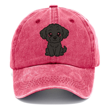 black maltipoo black curly sitting pose portrait design Hat