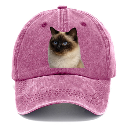 ragdoll-gentle-charm Hat