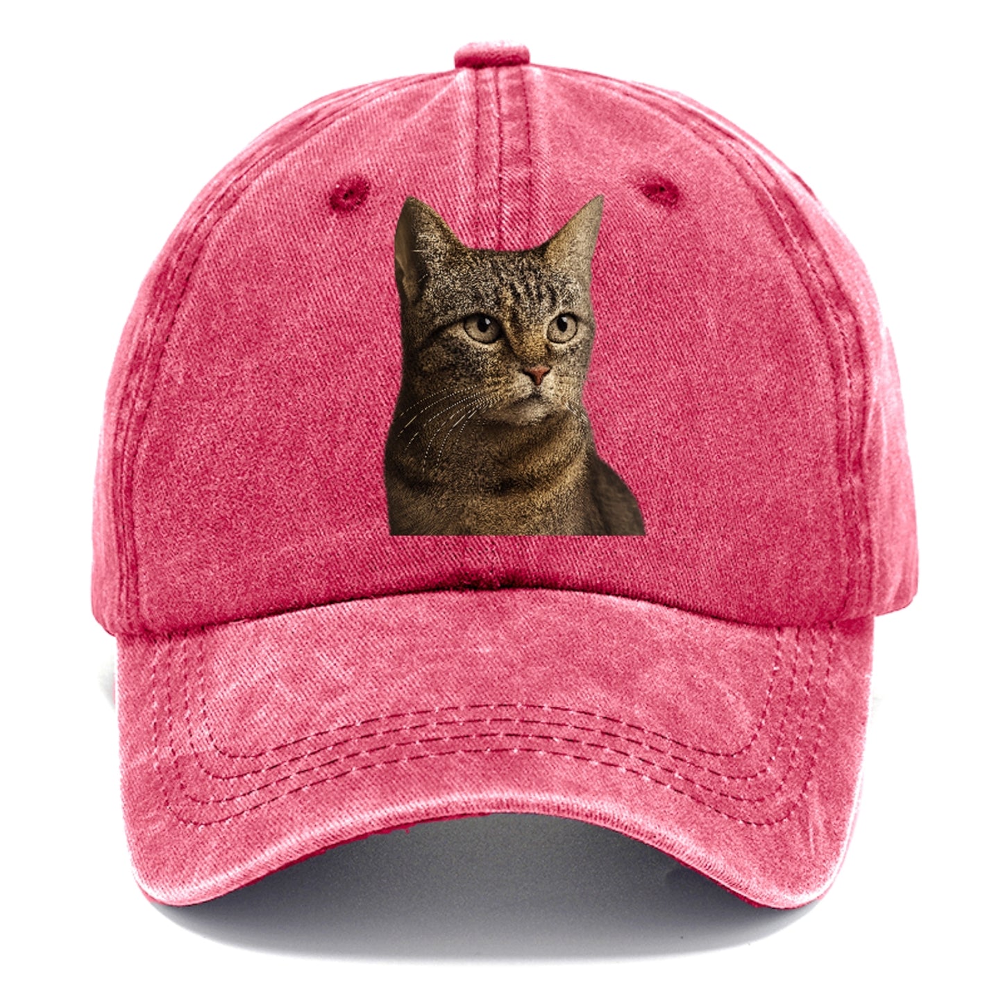 stray-cat-resilient-spirit Hat