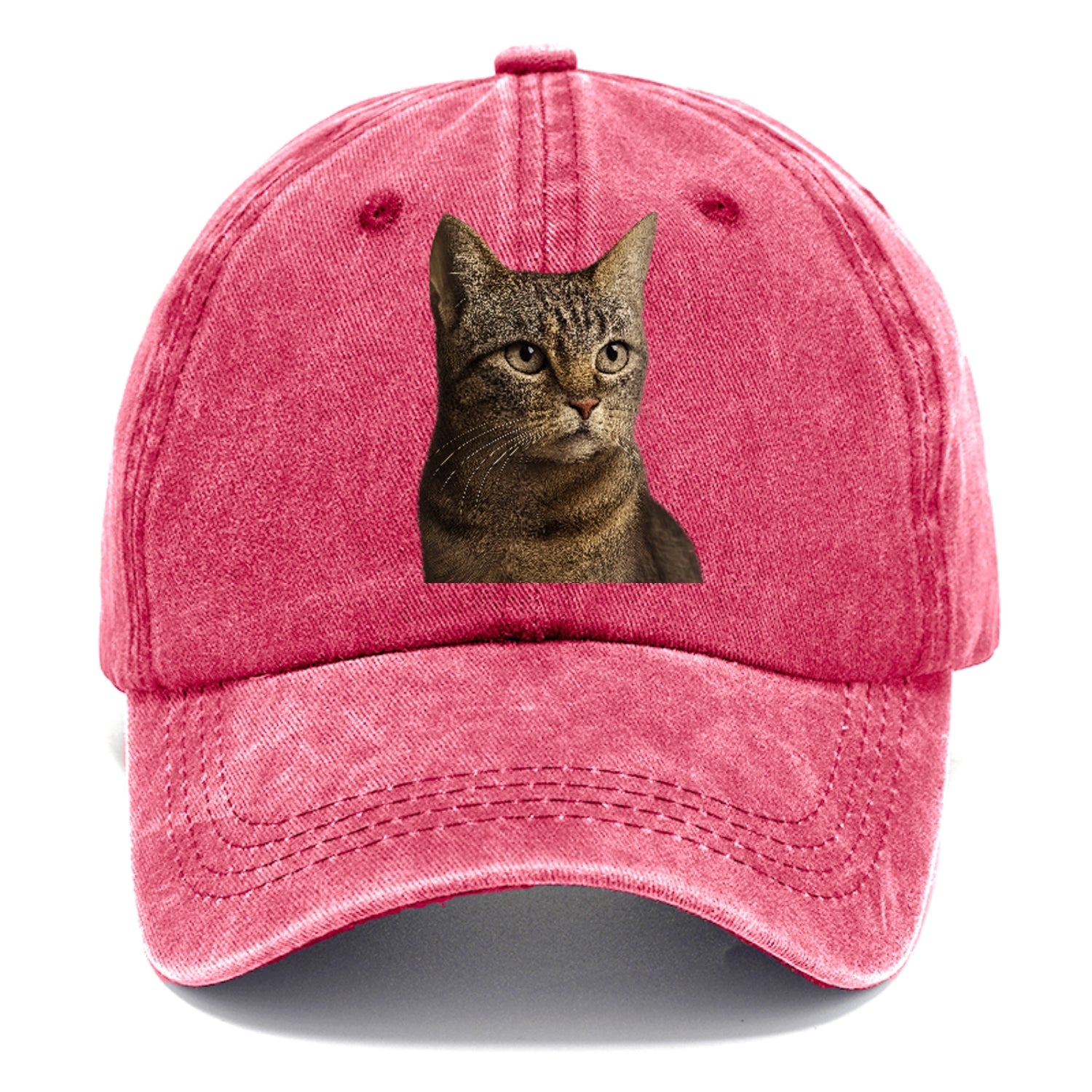 stray-cat-resilient-spirit Hat