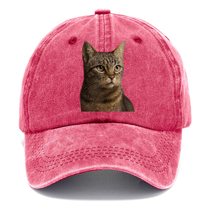 stray-cat-resilient-spirit Hat