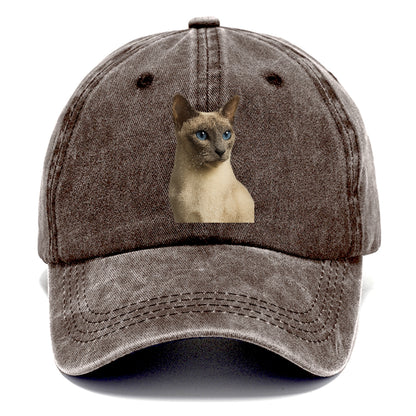 lilac-point-siamese-elegant-mystique Hat