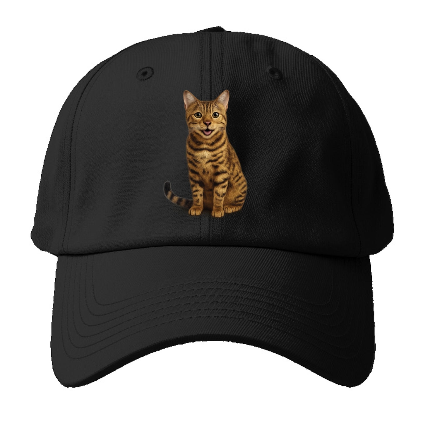 whiskered wonders Hat