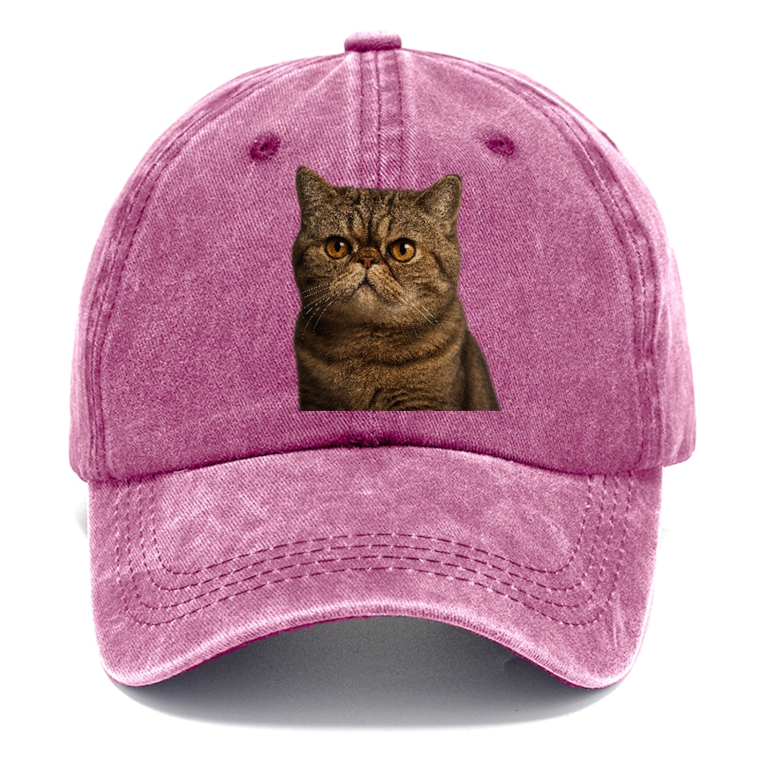 exotic-shorthair-charm Hat