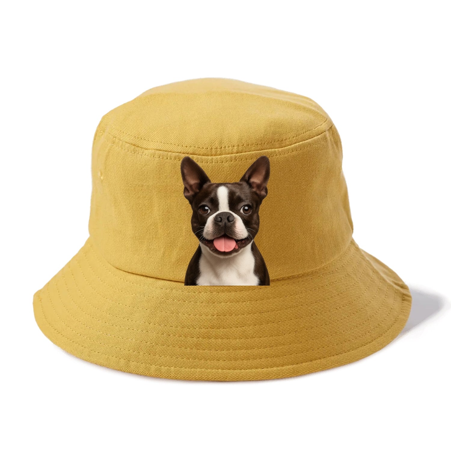 boston terrier: dapper & devoted companion Hat