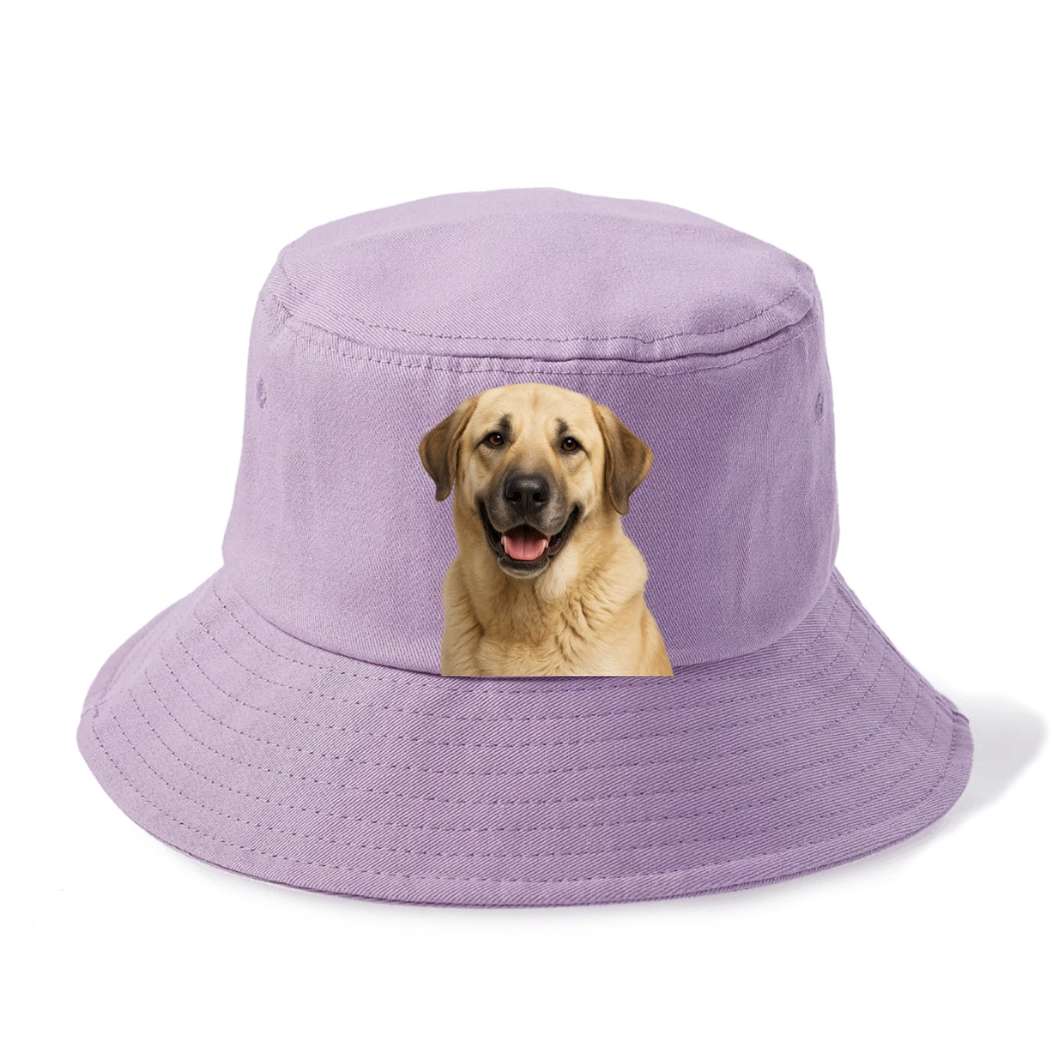 anatolian shepherd: noble protector's pride Hat