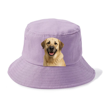 anatolian shepherd: noble protector's pride Hat